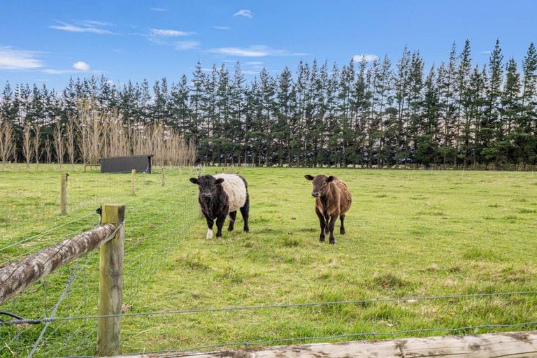 Photo of property in 675 Wolffs Road, Eyrewell, Rangiora, 7476