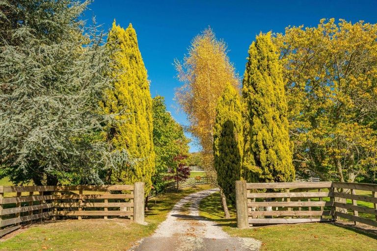 Photo of property in 8 Mark Wynd, Maunganamu, Taupo, 3379