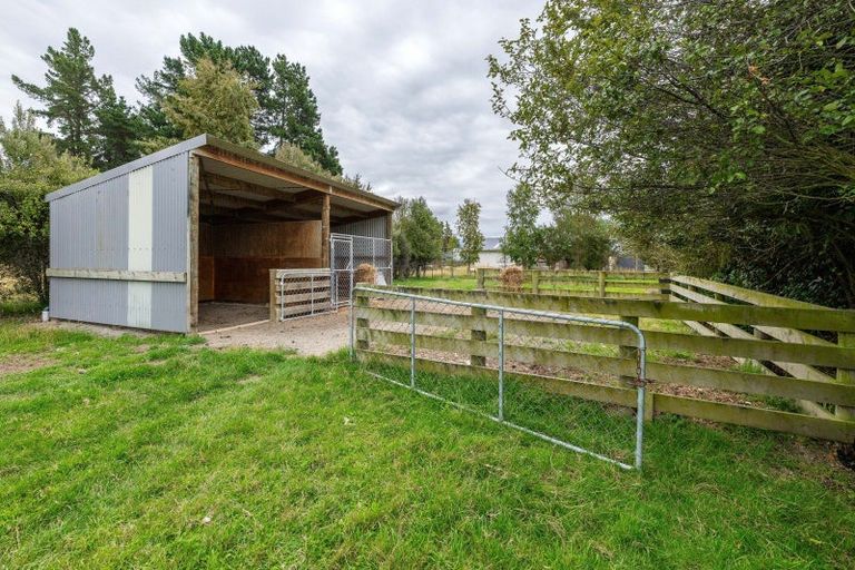 Photo of property in 116 Molloys Road, Waimate, 7980