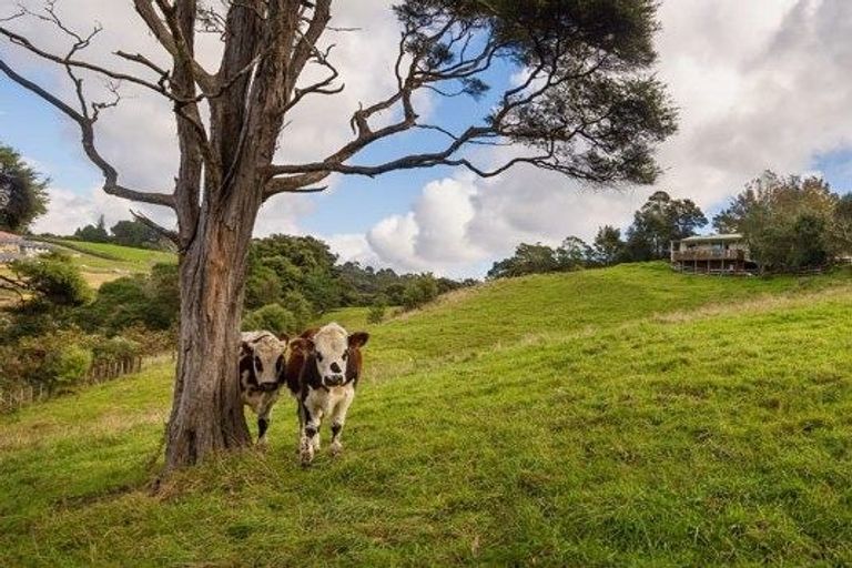 Photo of property in 37 Wilsons Road, Saint Martins, Christchurch, 8022