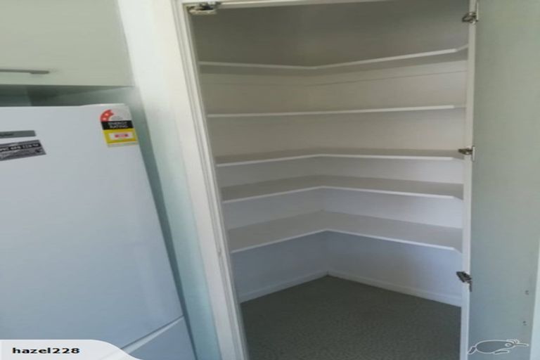 Photo of property in 44 Hazelwood Avenue, Dinsdale, Hamilton, 3204