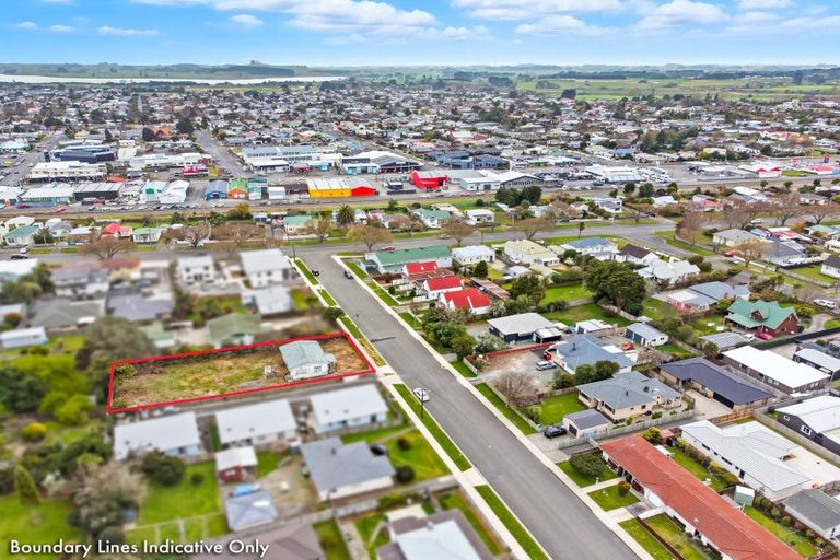 Photo of property in 8 Montgomery Street, Levin, 5510