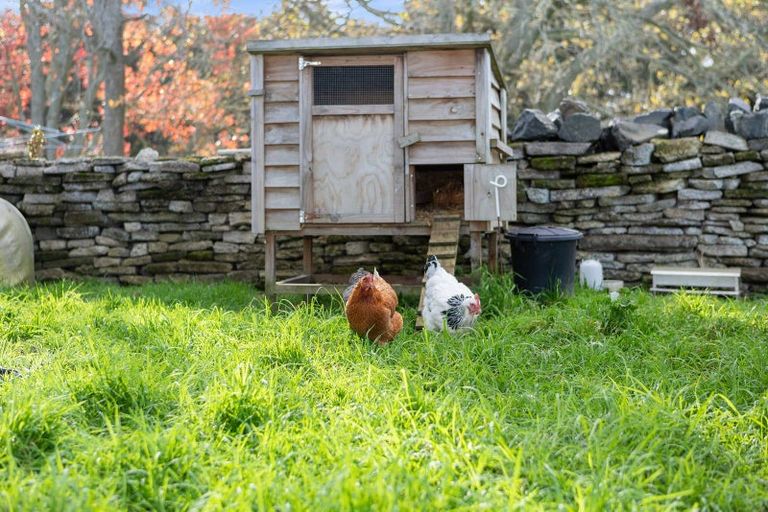 Photo of property in 573c Kuranui Road, Morrinsville, 3372