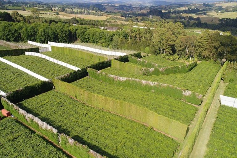 Photo of property in 84 Jensen Road, Omanawa, Tauranga, 3171