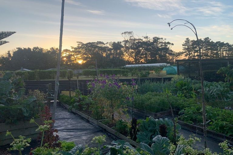 Photo of property in 70 Parore Street, Parore, Dargaville, 0372