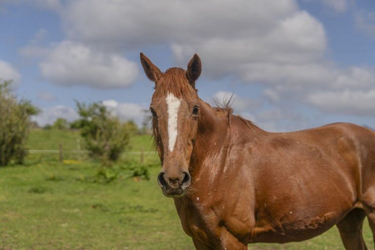 Photo of property in 62a Hikuai Settlement Road, Hikuai, 3579