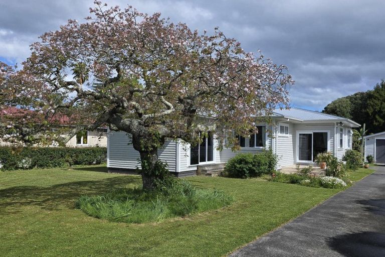 Photo of property in 88 Oak Street, Mangapapa, Gisborne, 4010