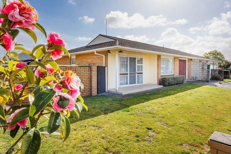 Photo of property in 46 Monrad Street, Highbury, Palmerston North, 4412