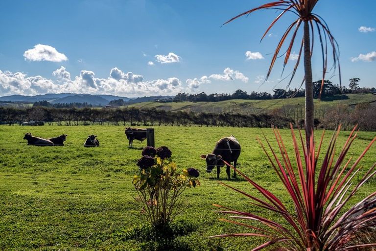Photo of property in 273 Forestry Road, Waitoki, Kaukapakapa, 0871