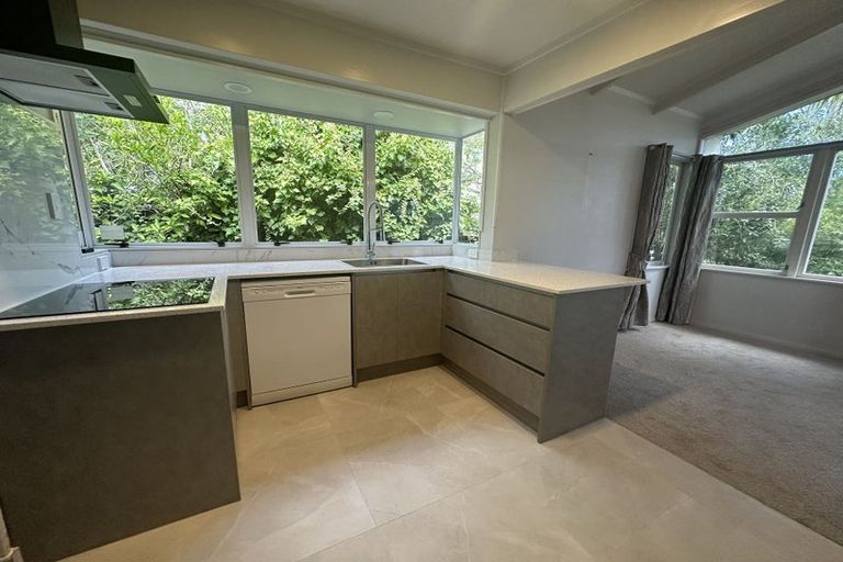 Photo of property in 57 Waitaki Street, Henderson, Auckland, 0612