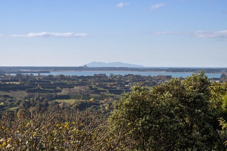 Photo of property in 186b Minden Road, Minden, Tauranga, 3176