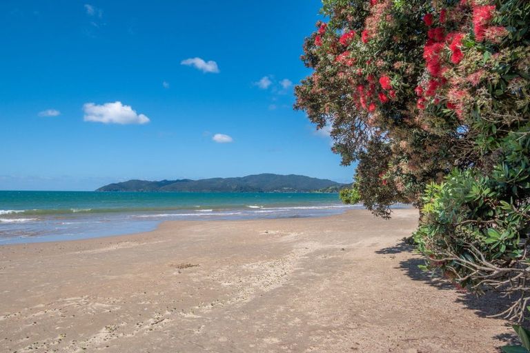 Photo of property in 50 Bayside Drive, Coopers Beach, 0420