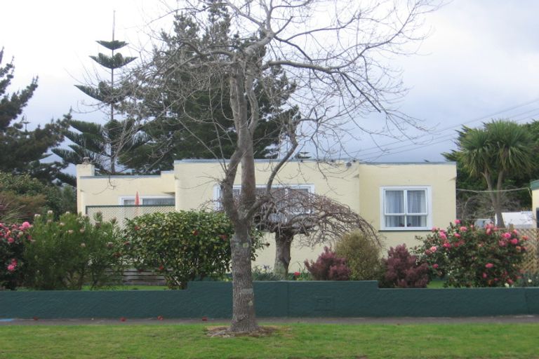 Photo of property in 39 Mckenzie Street, Levin, 5510