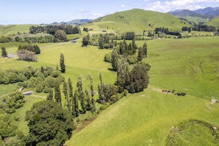 Photo of property in 268 Mikimiki Road, Mikimiki, Masterton, 5881