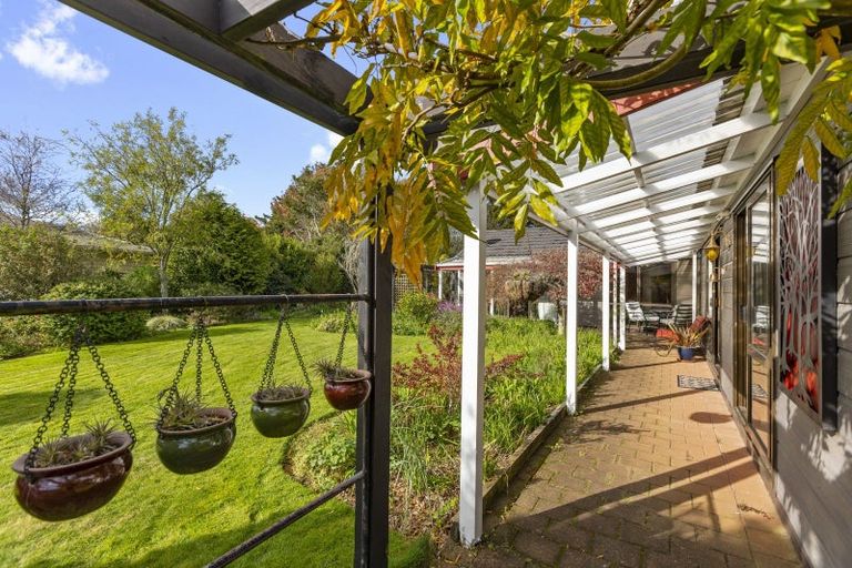 Photo of property in 19 Nikau Street, Inglewood, 4330