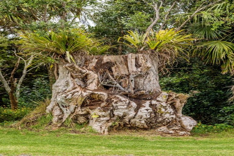 Photo of property in 116 Hawkins Road, Kohukohu, 0491