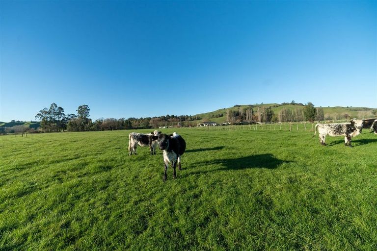 Photo of property in 82 Thorn Road, Dovedale, Wakefield, 7096