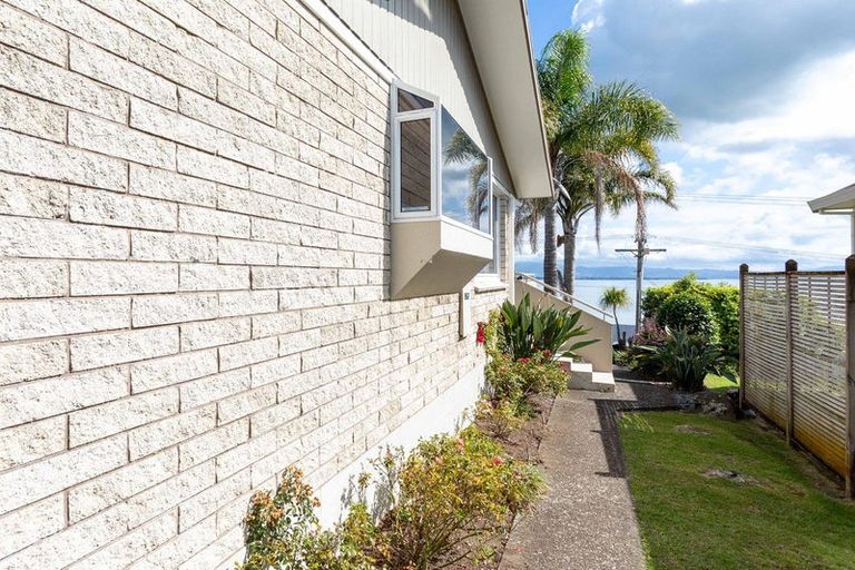 Photo of property in 29 Hamurana Road, Omokoroa, 3114