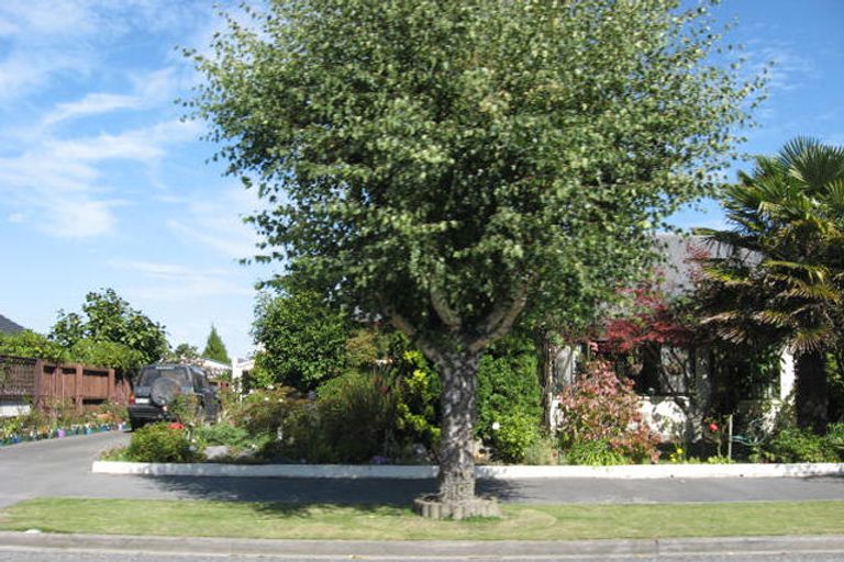 Photo of property in 9 Jordan Avenue, Tinwald, Ashburton, 7700