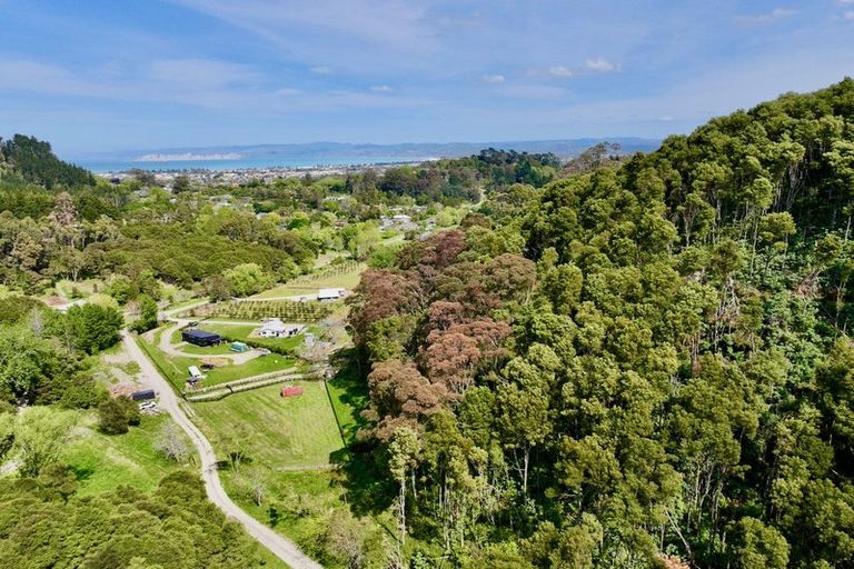 Photo of property in 58a Dryden Street, Whataupoko, Gisborne, 4010