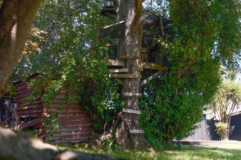 Photo of property in 11 Sophia Street, Glenholme, Rotorua, 3010