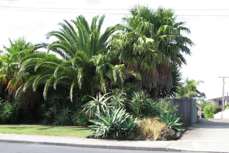 Photo of property in 2/309 Beach Road, Campbells Bay, Auckland, 0630