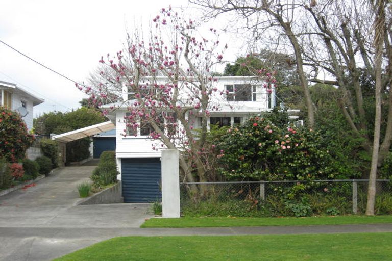 Photo of property in 91 Kawiu Road, Levin, 5510