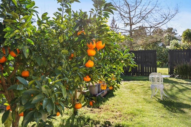 Photo of property in 39 Daytona Road, Henderson, Auckland, 0610