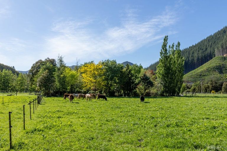 Photo of property in 208 Mount Riley Road, Okaramio, Havelock, 7178