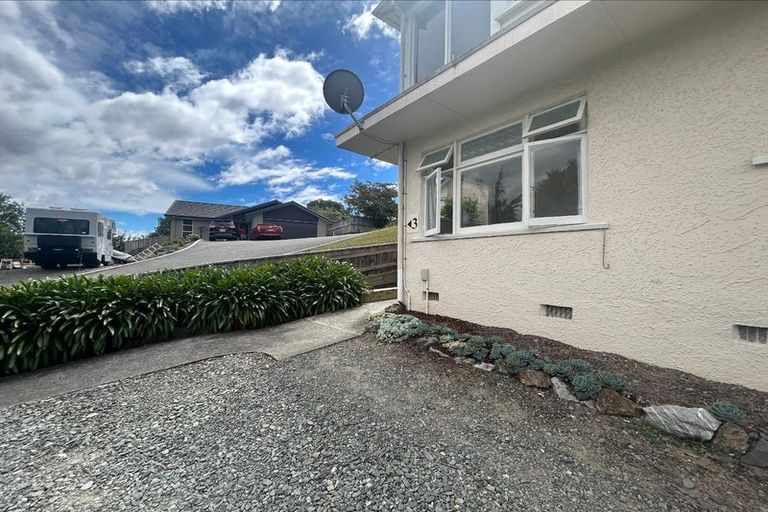 Photo of property in 12 Win Place, Richmond, 7020