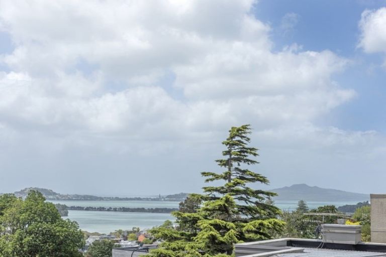 Photo of property in 17 Arney Crescent, Remuera, Auckland, 1050