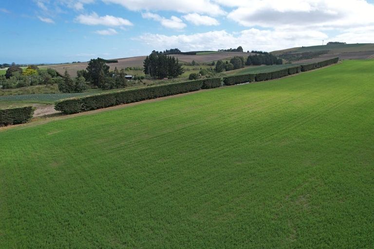 Photo of property in 253 Whiterocks Road, Weston, Oamaru, 9492