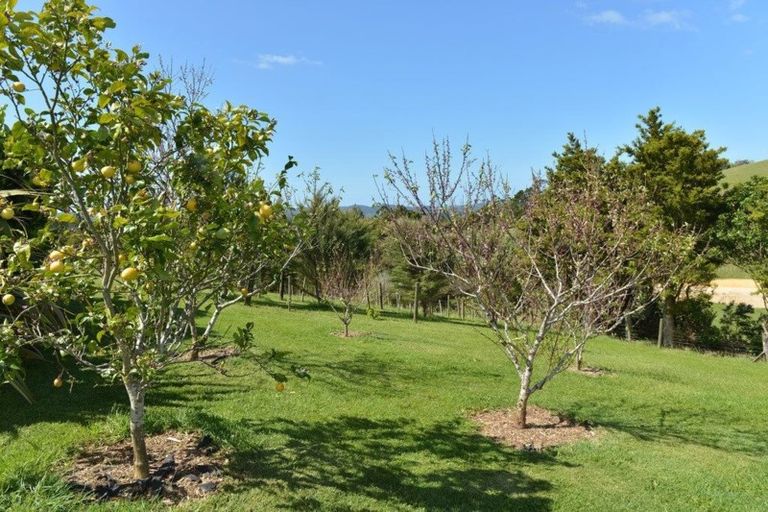 Photo of property in 965 Pataua Road North, Whareora, Whangarei, 0175