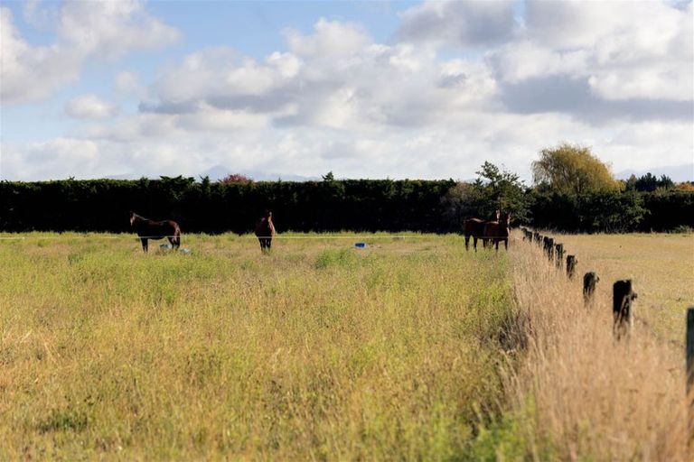 Photo of property in 265 Lehmans Road, Fernside, Rangiora, 7471
