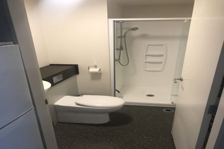 Photo of property in The Peak Apartments, 503/170 Taranaki Street, Te Aro, Wellington, 6011