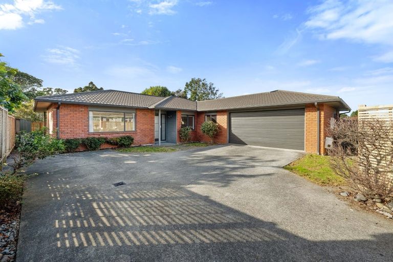 Photo of property in 33a Lismore Street, Strandon, New Plymouth, 4312