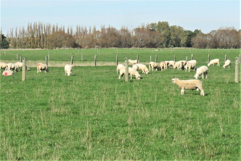 Photo of property in 39 Gap Road West, Winton, 9781