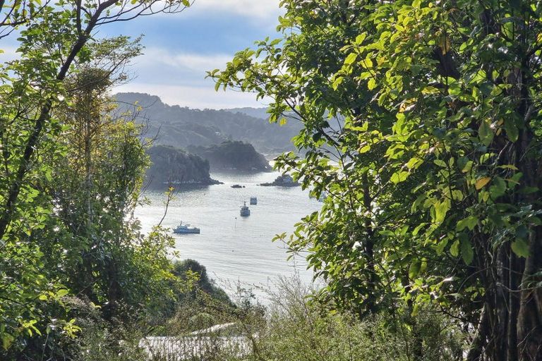 Photo of property in 20 Kaka Ridge Road, Stewart Island/rakiura, Stewart Island, 9818