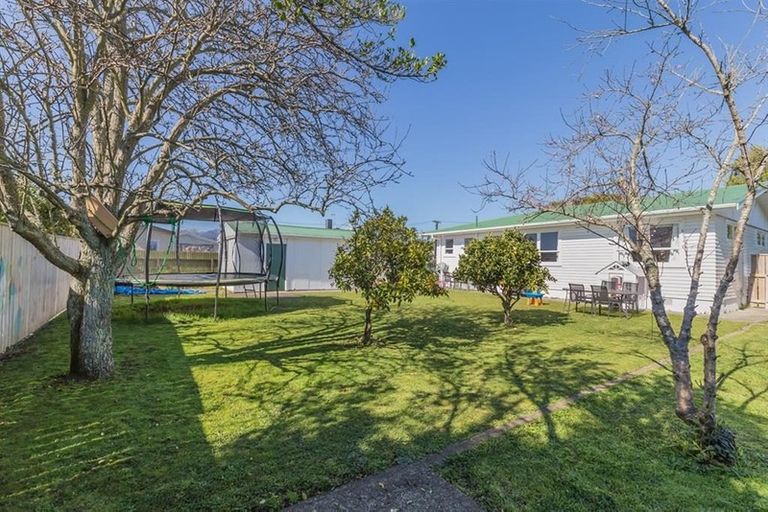 Photo of property in 21 Cornwall Street, Levin, 5510