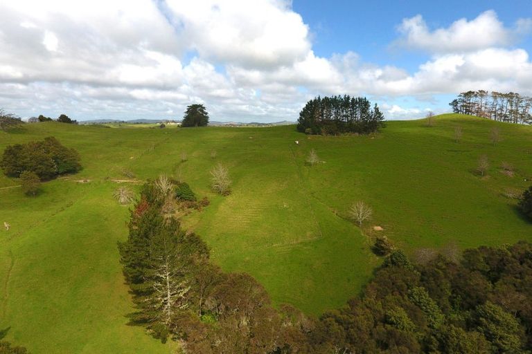 Photo of property in 49 Tamerlane Road, Wellsford, 0973