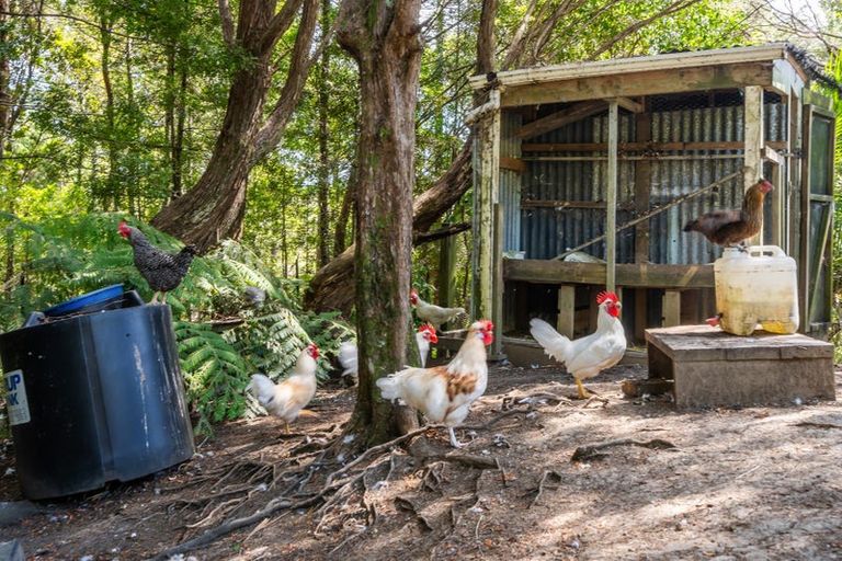 Photo of property in 202 Albany Heights Road, Albany Heights, Albany, 0792