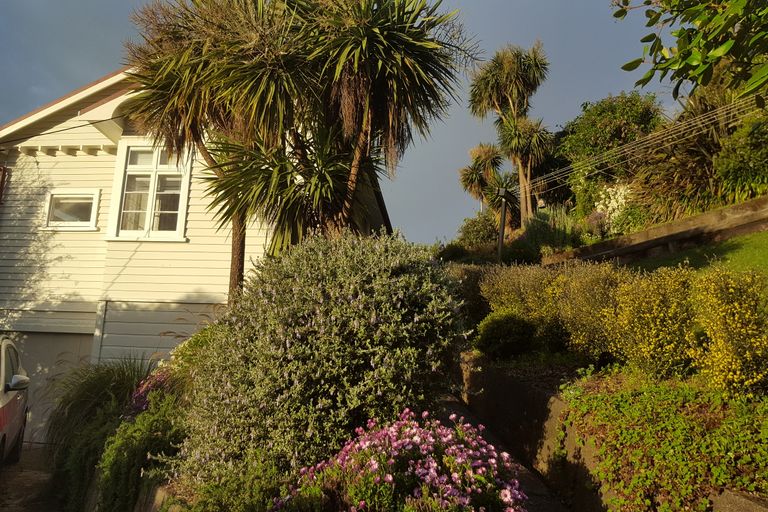 Photo of property in 201 Vanguard Street, Nelson South, Nelson, 7010