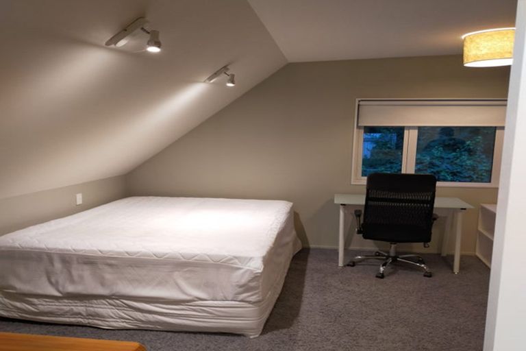 Photo of property in 663 George Street, North Dunedin, Dunedin, 9016