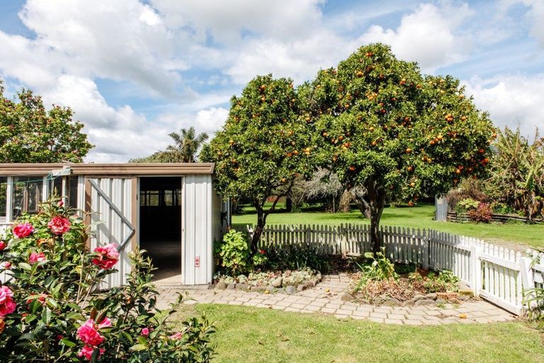 Photo of property in 112 Wellington Street, Opotiki, 3122