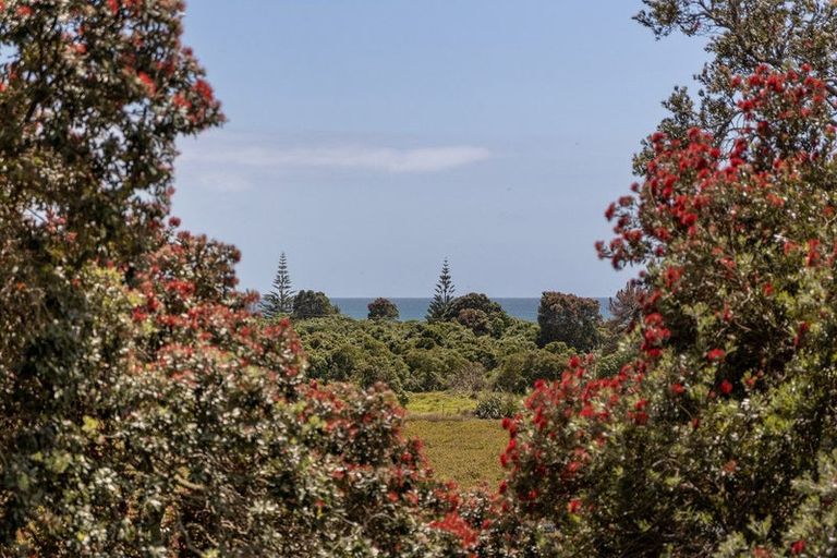 Photo of property in 37 Pohutukawa Drive, Athenree, Katikati, 3177