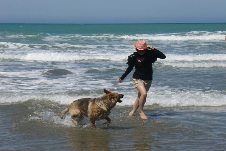 Photo of property in 2 Moore Avenue, Maraenui, Napier, 4110