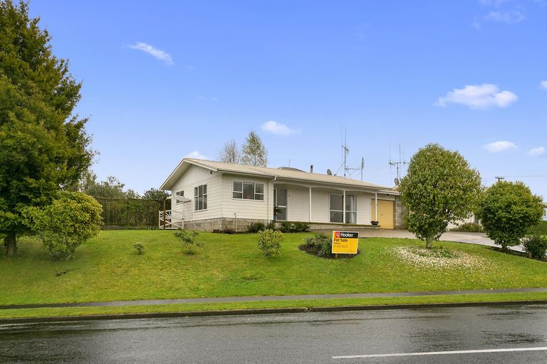 Photo of property in 57b Neal Street, Putaruru, 3411