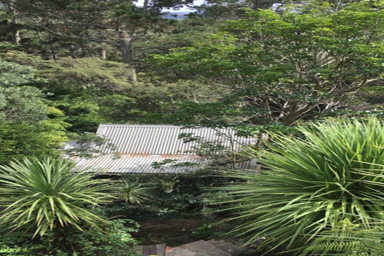 Photo of property in 148 Lonely Track Road, Redvale, Auckland, 0632