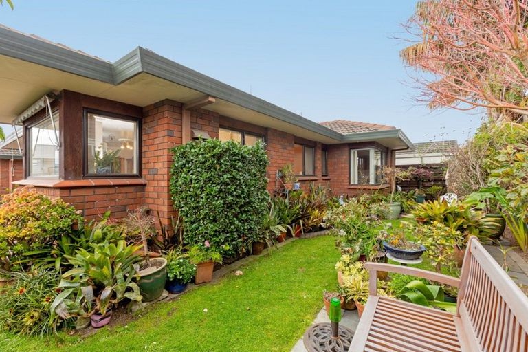 Photo of property in 3/24 Fourth Avenue, Tauranga, 3110