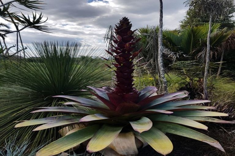 Photo of property in 656 One Tree Point Road, Ruakaka, Whangarei, 0171